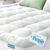 Niagara Sleep Solution Queen Ultra Soft Mattress Topper — Back Pain Relief