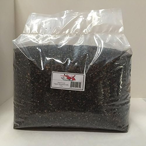 Beans72 Organic Buckwheat Hulls 10 Pounds Made in USA