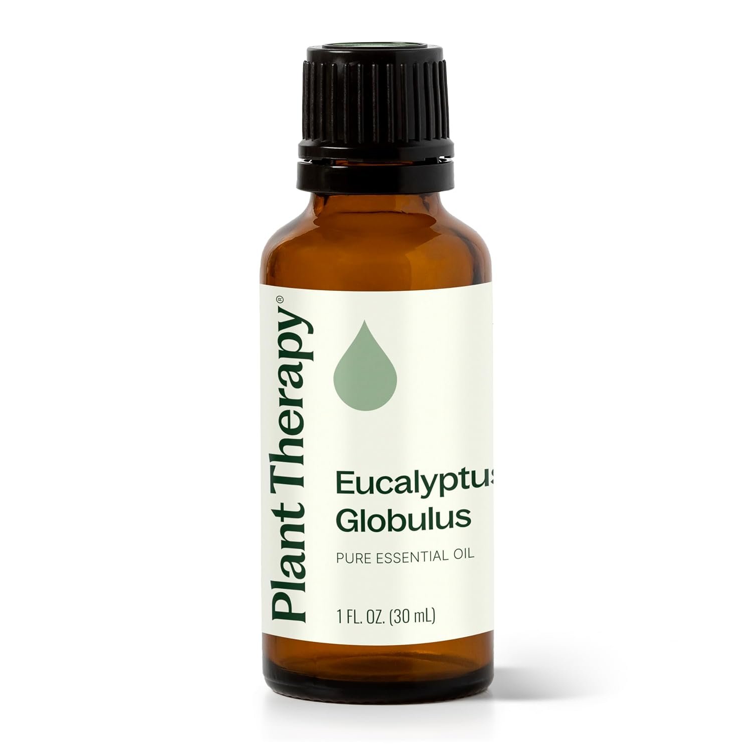 Plant Therapy Eucalyptus Globulus Essential Oil 30 mL Pure Essential Oil