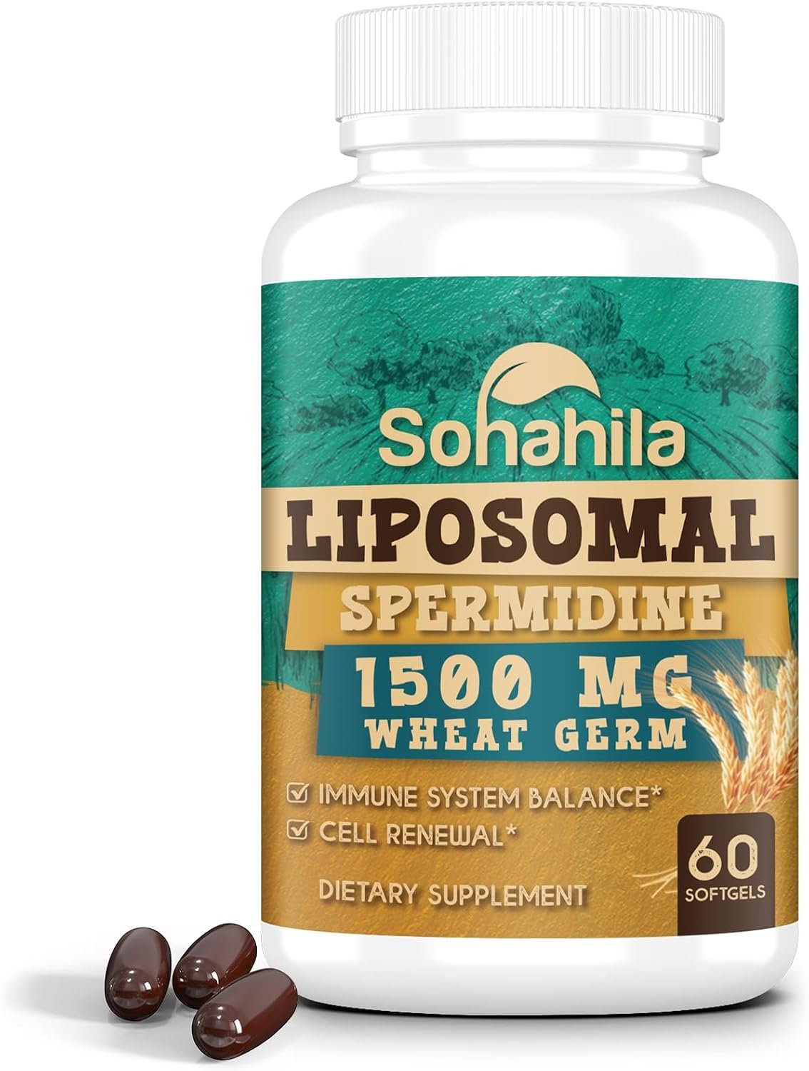 Spermidine Supplement 15 MG – 99% Purity, High Absorption, 1500 MG Fermented Wheat Germ Extract with Zinc & Thiamin, Spermidine for Men & Women – Cellular Renewal, Aging Defense, Energy, 60 Softgels