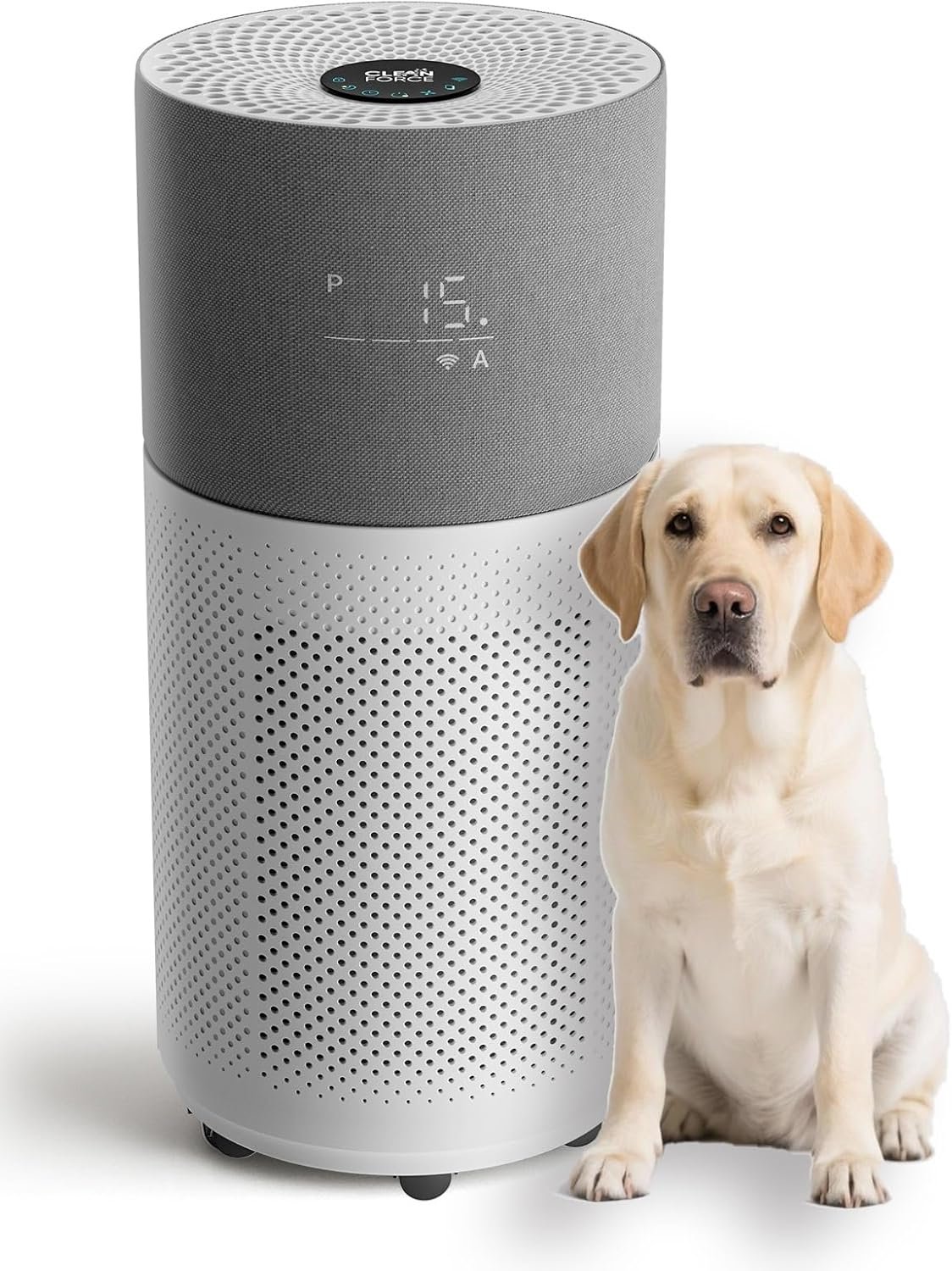 CleanForce Air Purifier for Large Room up to 2,250 ft², H13-Grade HEPA Filtration & Activated Carbon Layer, Captures Dust, Pollen, Smoke & Pet Dander | Smart App & Alexa | Gray, Rainbow Series