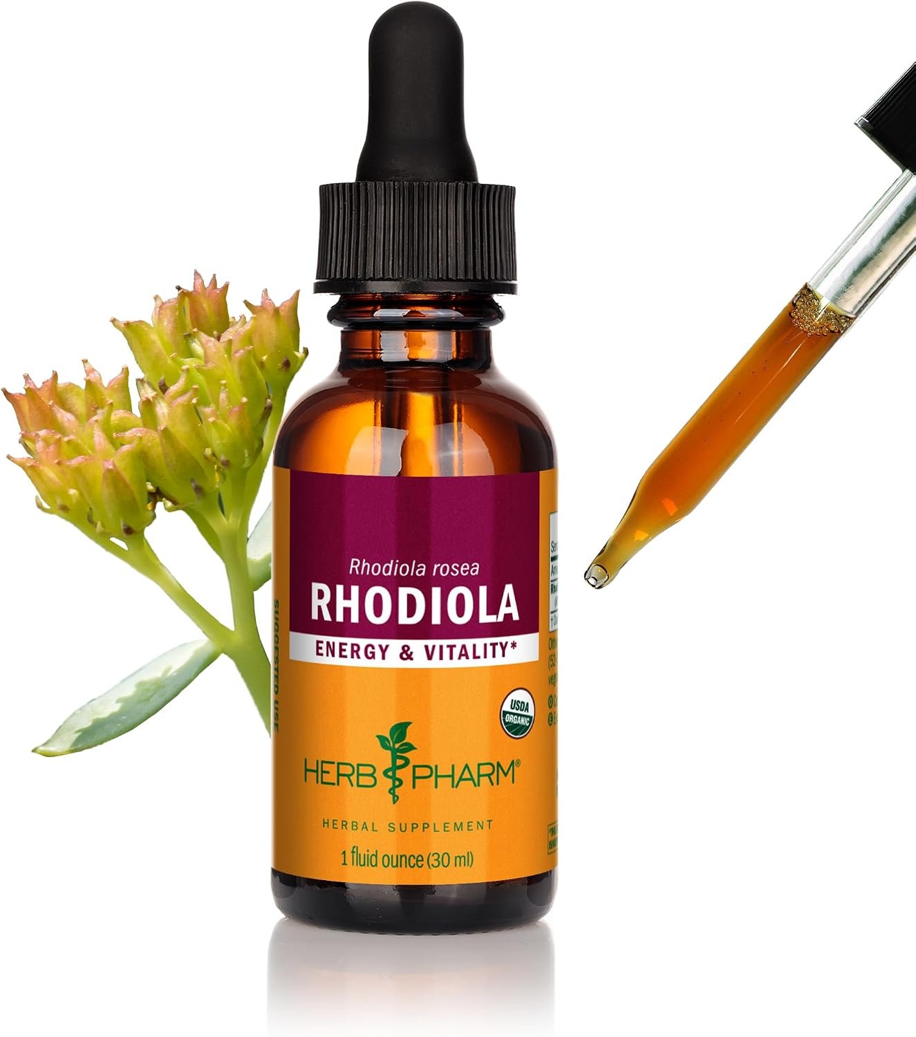 Herb Pharm Organic Rhodiola Rosea Energy & Vitality Extract: Organic Adaptogen Tincture for Stamina, Stress Response & Mental Clarity, Vegan, Non-GMO, Gluten-Free, 1 Oz