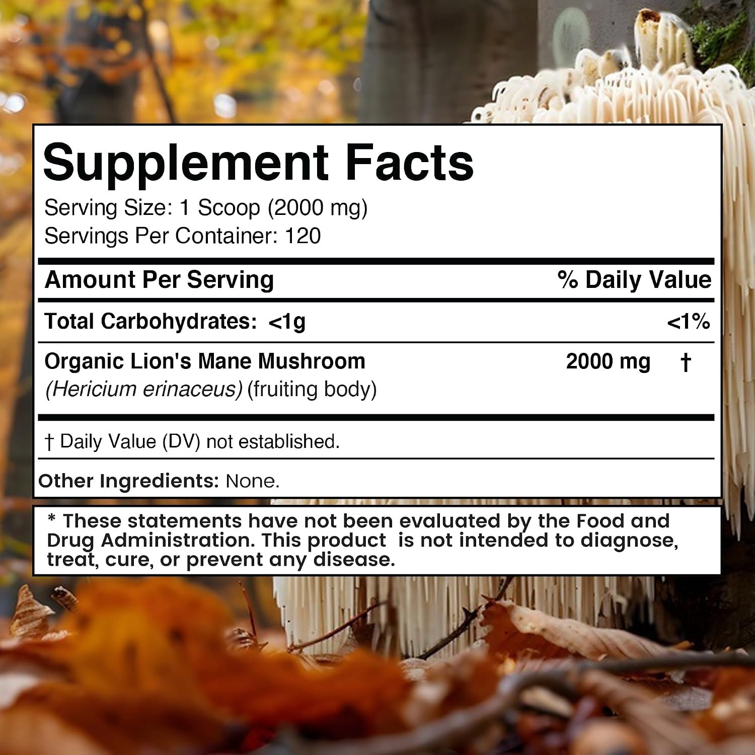 Organic Lions Mane Powder 2000mg Mushroom Supplement, 120 Servings