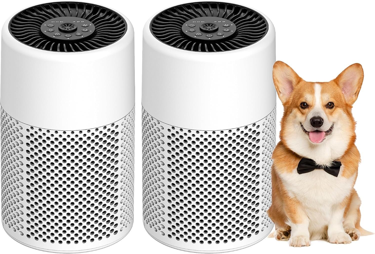 2 Pack Air Purifiers for Bedroom Home, True HEPA Filter for Smoke, White