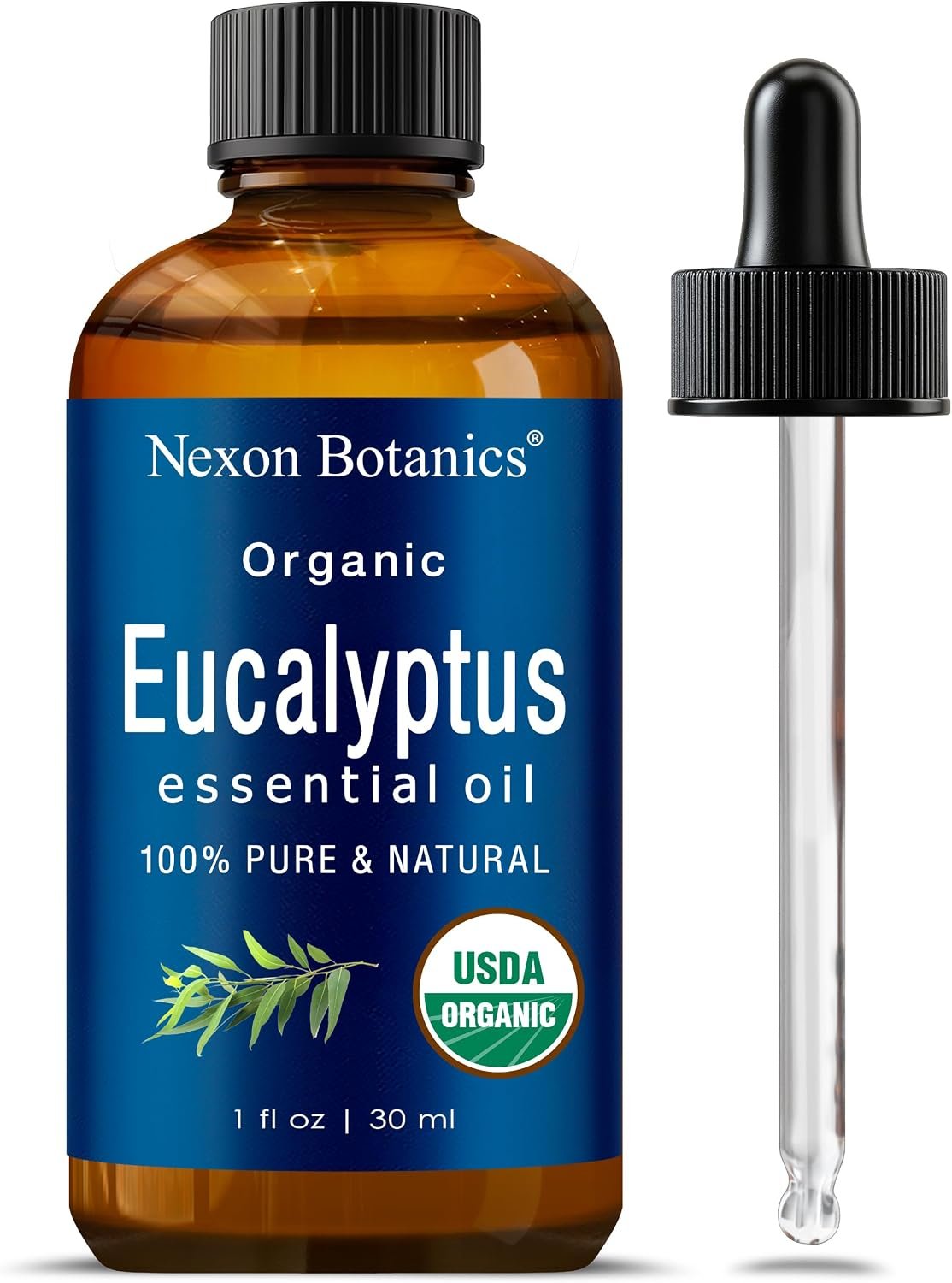 Organic Eucalyptus Essential Oil 1 Fl Oz – 100% Pure & Natural – Hexane Free