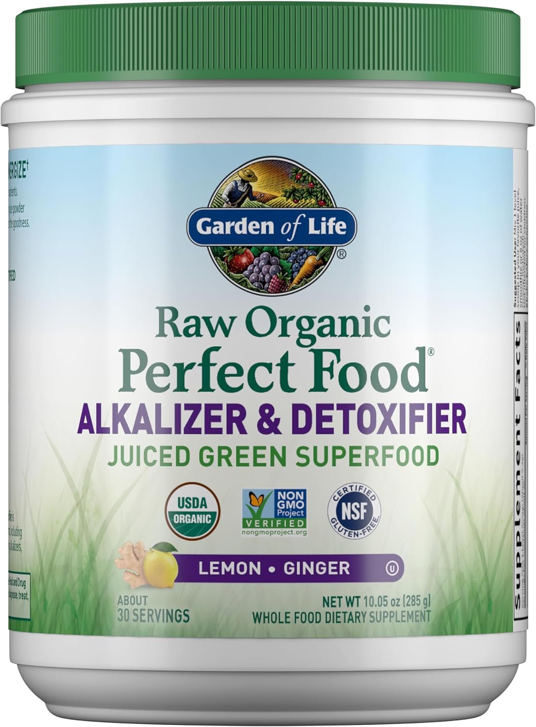 Garden of Life RAW Organic Perfect Food Alkalizer Detoxifier, 30 Servings